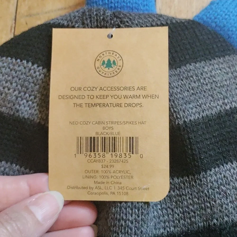 Cozy Cabin Kids Beanie Black Blue Stripe Winter Hat Dinosaur New Youth